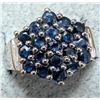 Image 1 : Silver 4.16G Sapphire 0.85Ct Ring, Suggested Retail Value $240