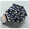 Image 2 : Silver 4.16G Sapphire 0.85Ct Ring, Suggested Retail Value $240