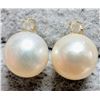 Image 1 : 14K Yellow Gold Fresh Water Pearl And Diamond 0.02Ct Earrings, Made in Canada, Suggested Retail Valu