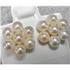 Image 1 : Silver Fresh Water Pearl Earrings, Made in Canada, Suggested Retail Value $60