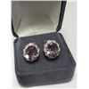 Image 3 : Silver Amethyst 5Ct Earrings, Suggested Retail Value $240