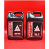 Image 1 : 2 x GN4 Pro Honda 1 Gallon 10W-40 4-Stroke Motorcycle Oil