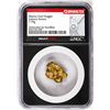Image 1 : 7.79 Gram Caborca Sonora Mexico Gold Nugget NGC Vaultbox Unvaulted