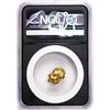 Image 2 : 6.44 Gram Caborca Sonora Mexico Gold Nugget NGC Vaultbox Unvaulted