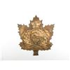 Image 2 : RCMP COPPER CREST