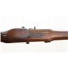 Image 16 : P. SCHAEFER | Model: Hunting Rifle | Caliber: .48 CAL