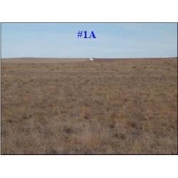Parcel #1A 155.5 Acres CRP