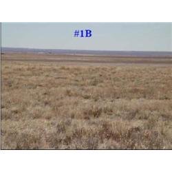 Parcel #1B 155.5 Acres CRP