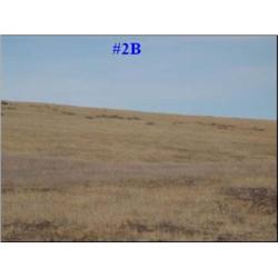 Parcel #2B 261 Acres CRP