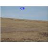 Image 1 : Parcel #2B 261 Acres CRP