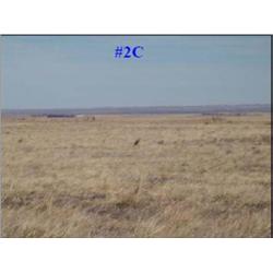Parcel #2C 38 Acres CRP