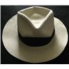 Image 6 : Michael Jackson signed white fedora.