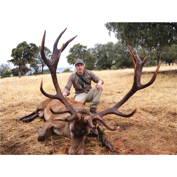 Three Day Iberian Red Stag Adventure