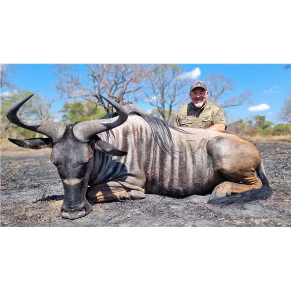 Niassa Wildebeest Hunt in Mozambique