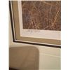 Image 3 : Robert Bateman Lyon in the grass 353/950