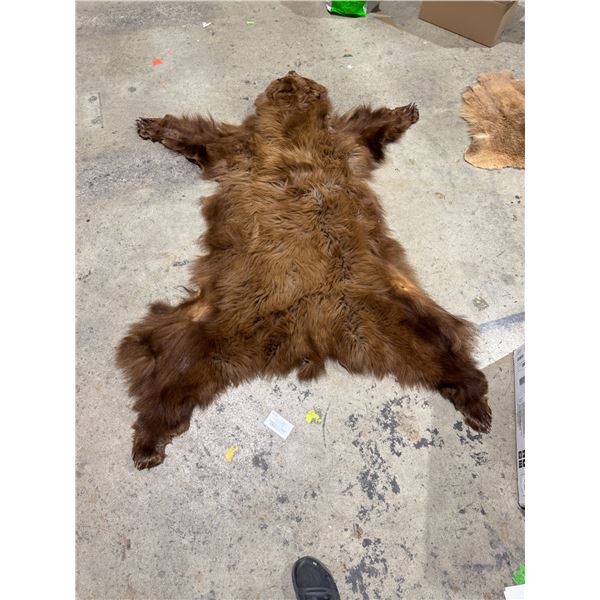 Area carpet