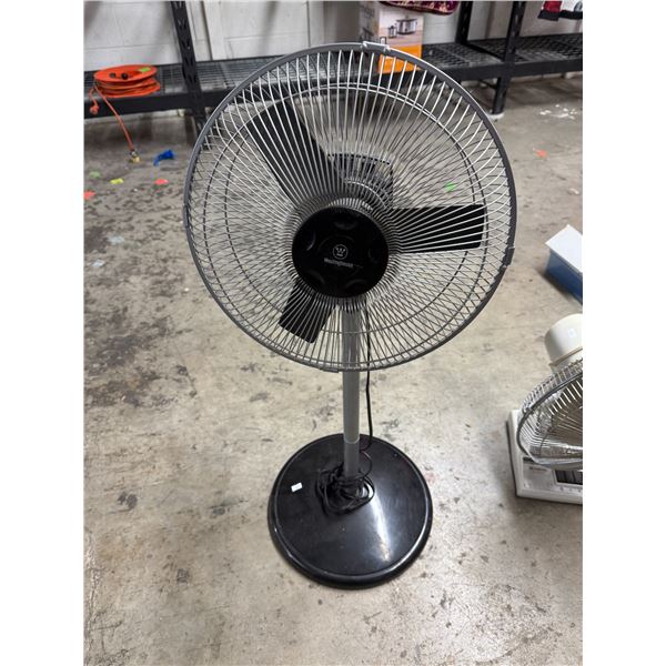 Fan