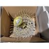 Image 1 : Light fixture