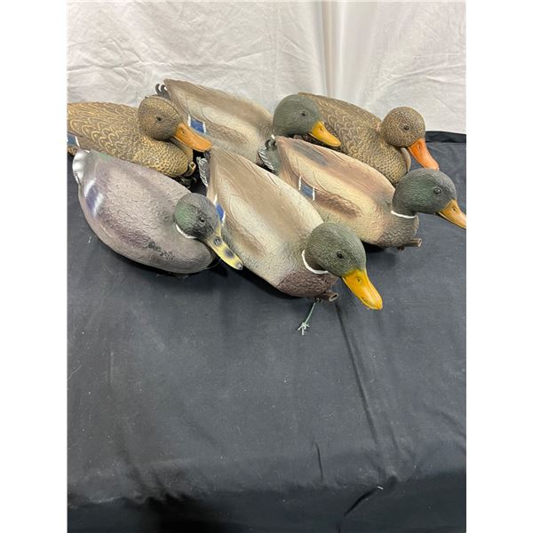 6 Mallard Duck Decoys