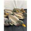 Image 3 : 6 Mallard Duck Decoys