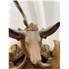 Image 2 : Vintage Wooden Coo-Coo Clock