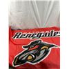 Image 4 : Assorted Sports Flags