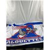Image 7 : Assorted Sports Flags