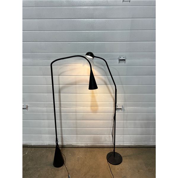 2 Floor Lamps
