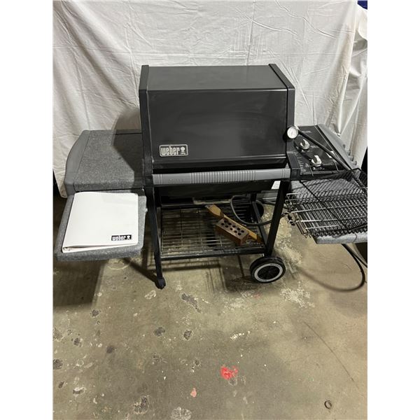 Weber Natural Gas BBQ