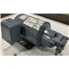 Image 1 : Nippon #EELQ-8T Oil Pump / Motor