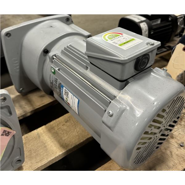 GTR #G3F32N10-MD15TNNTN Induction Motor