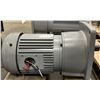 Image 2 : GTR #G3FM-28-10-075 Induction Motor