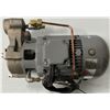 Image 7 : Sanso Electric #SM2P-1.0-46U Motor