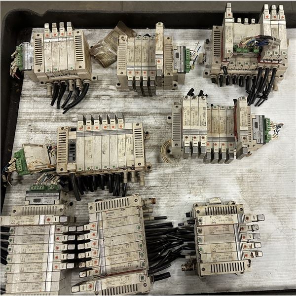 Lot of Misc. SMC Valve Unit as Pictured