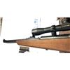 Image 6 : PUMA MENDOZA, SEMI AUTO RIFLE, CAL 22LR, 21" BARREL