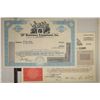 Image 5 : 6 US VINTAGE US STOCK CERTIFICATES 1965-1995
