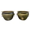 Image 1 : Brass Pots w/ Dog Handles - 16 x 10.5 x 16.5"