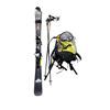 Image 1 : Group of assorted ski equipment - Enduro RX 800