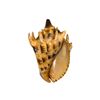 Image 2 : Oversize Seashells Movie Set Dec - 2pcs
