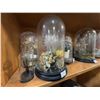 Image 2 : "Under Wraps 2" - Group of movie Terrarium Glasses & Golden Metallic Stag Beetle in Glass