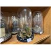 Image 3 : "Under Wraps 2" - Group of movie Terrarium Glasses & Golden Metallic Stag Beetle in Glass