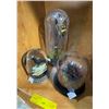 Image 1 : "Under Wraps 2" - Group of movie Terrarium Glasses & Glass Enclosed Decorative Crow