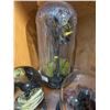 Image 2 : "Under Wraps 2" - Group of movie Terrarium Glasses & Glass Enclosed Decorative Crow