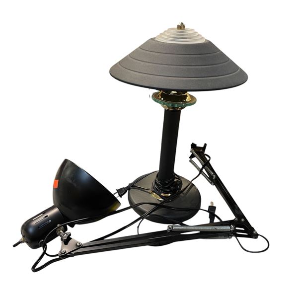 2 Lamps - Desk Lamp (16x12) & Adjustable Arm Lamp