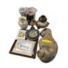 Image 1 : Assorted Home Decor - Vases, Driftwood, Etc.