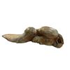 Image 3 : Assorted Home Decor - Vases, Driftwood, Etc.