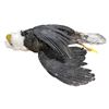 Image 1 : Reproduction life-like eagle prop