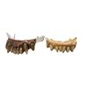 Image 1 : "Blade" - Prop teeth 2pc