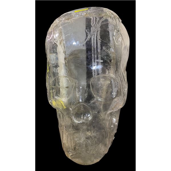 Oversized Clear Plastic Skull (Approx. 48x48)