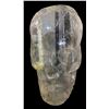 Image 1 : Oversized Clear Plastic Skull (Approx. 48x48)